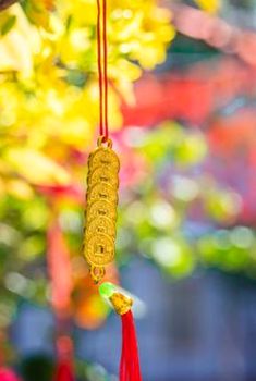  Vương quốc trò chơi số 